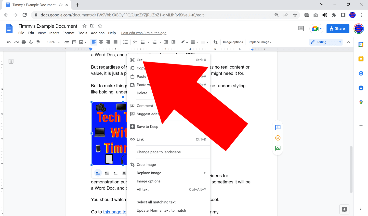 how to mirror an image on google docs